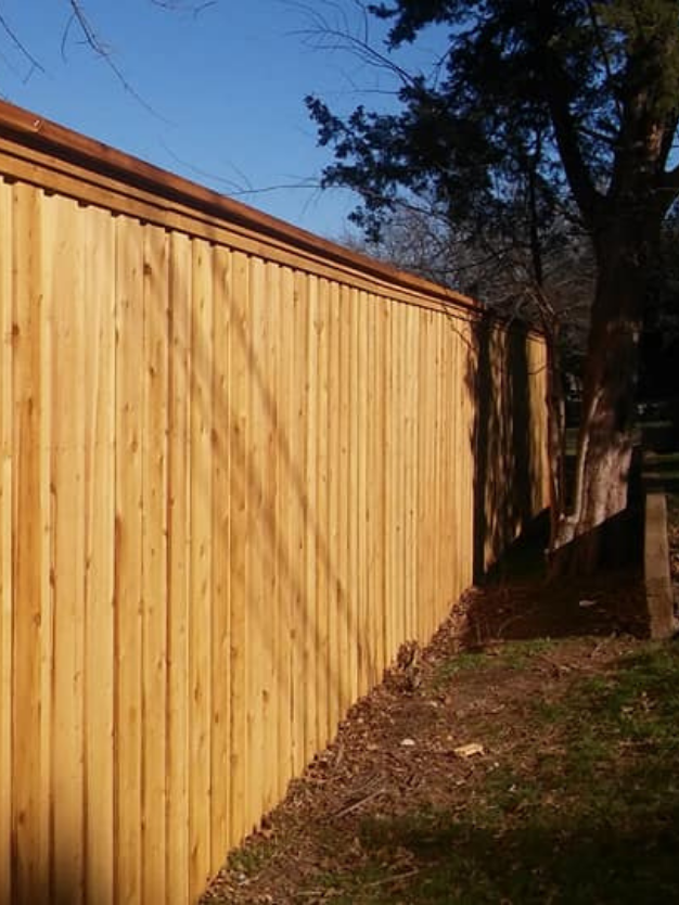 Fenceimg(13)
